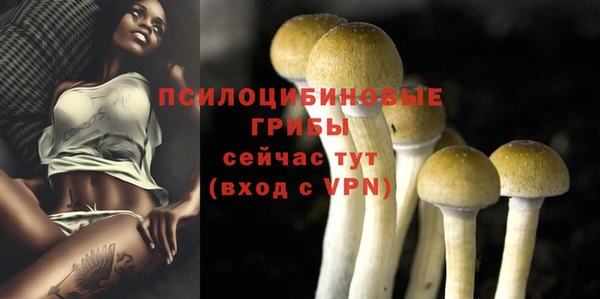 прущая мука Коряжма