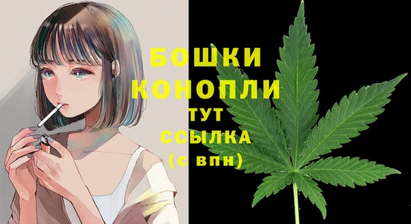 дживик Корсаков