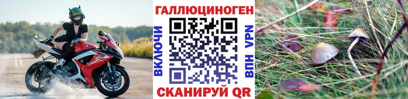 Купить закладки  Железногорск  Галлюциногенные грибы GOLDEN TEACHER 