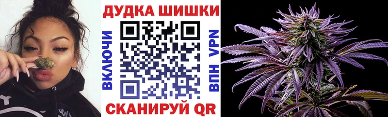 Шишки марихуана Bruce Banner  Купить  Железногорск 